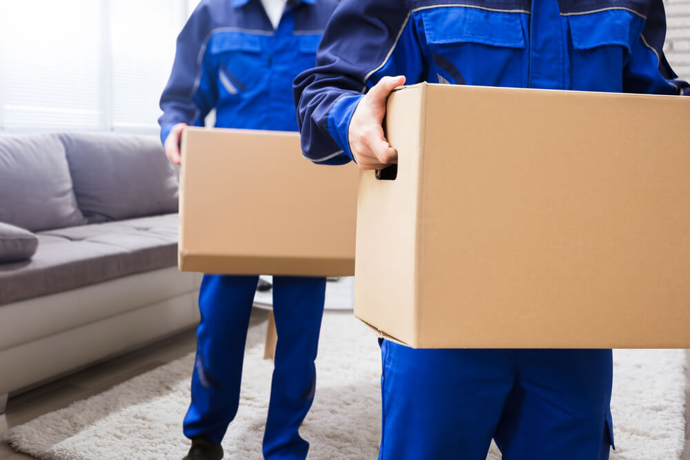 Same Day Flat Rate Movers