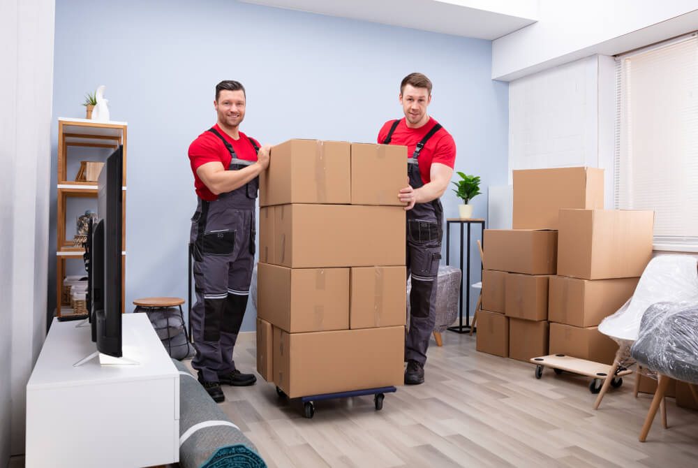 Same-day Moving Services