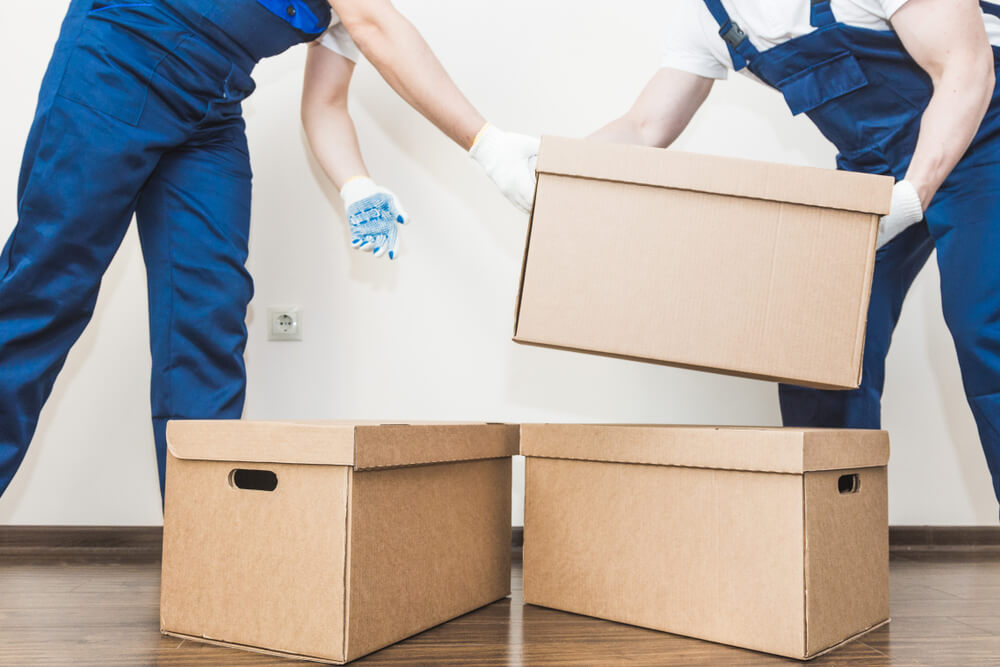 Apartment Moving Experts