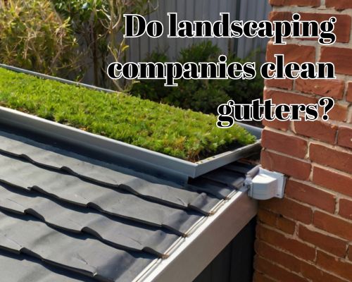 roof landscape